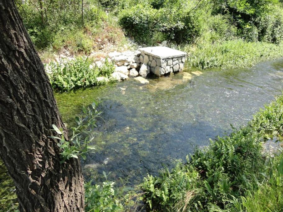 Villa Water Spring à Hrvace Extérieur photo
